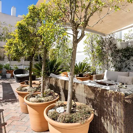 Genteel Casa Palacio Terrace דירה